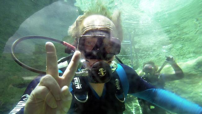 Peter Beattie swims with sharks on the 2001 election campaign. Picture: David Sproule.