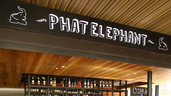 Phat Elephant in Brisbane city, Post Office Square. Photographer: Liam Kidston.