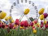 Bloomin’ wonderful: Floriade is Canberra’s time to shine