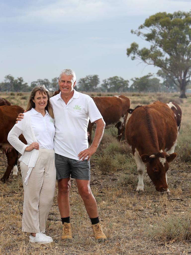 Gary and Sue Baker with their Shorthorn and Maine-Anjou cross cattle at Numurkah.