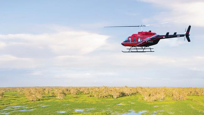 Heli-foraging with Darwin Distilling Co in the NT.