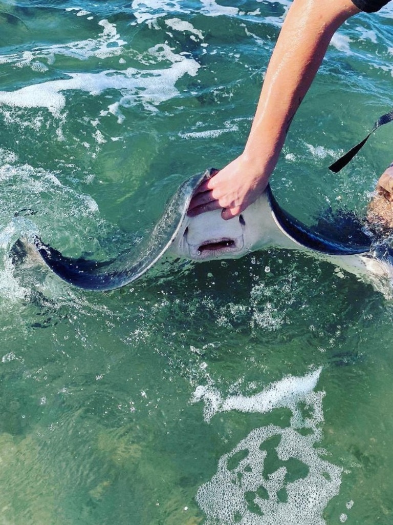 Some stingrays will even give you a smile. Picture: Instagram