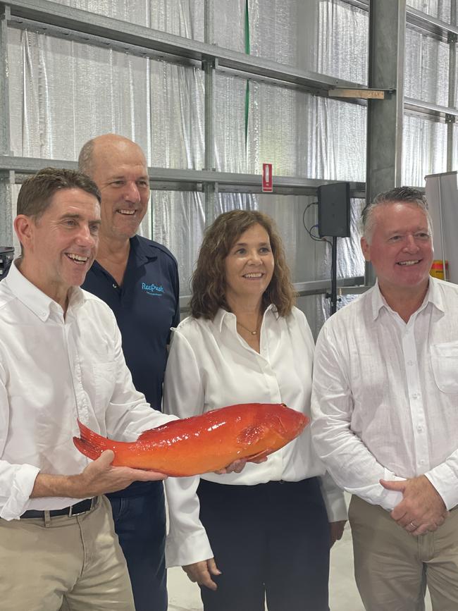 Treasurer Cameron Dick holds a Coral trout from Reef Fresh with CEO Barry Dun, Barbara Ford and Micheal Healy