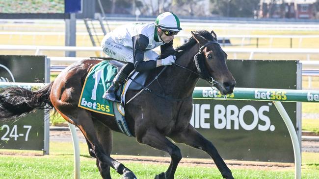 Dom ridden by Blake Shinn wins the UAA Group Maiden Plate at Geelong Racecourse on July 12, 2024 in Geelong, Australia. (Reg Ryan/Racing Photos via Getty Images)