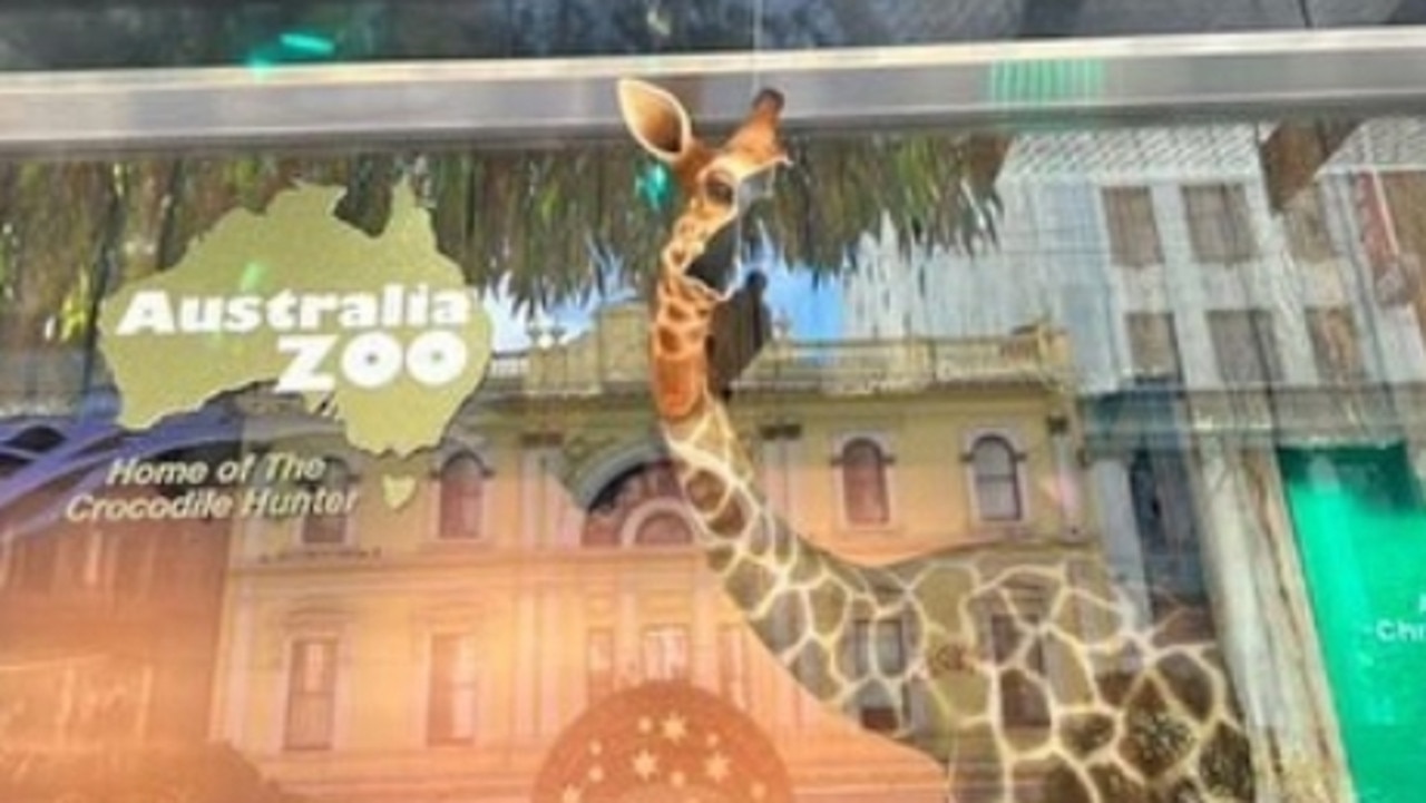 Giraffe in Myer’s Christmas display beheaded for second time