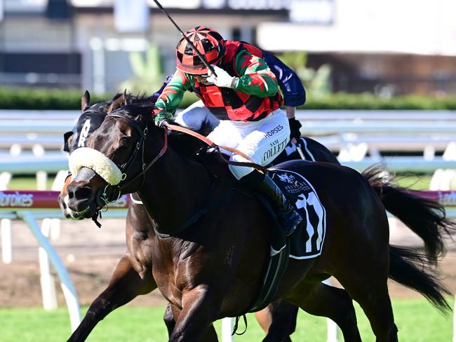 Tectonic Plate dashes home to victory in the Open Handicap for jockey Sam Collett and trainer Daniel Bowen. Picture: Grant Peters - Trackside Photography