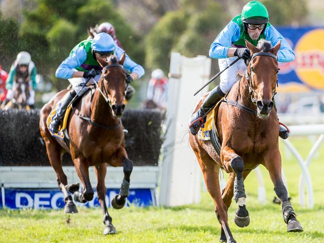 Steven Pateman and Zed Em go for home in the famous 33-fence staying classic. Picture: Jake Nowakowski