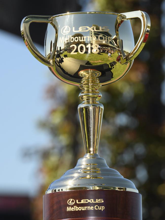 The 2018 Lexus Melbourne Cup. Picture: Getty Images