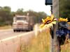 Shock group of Aus drivers a new death risk
