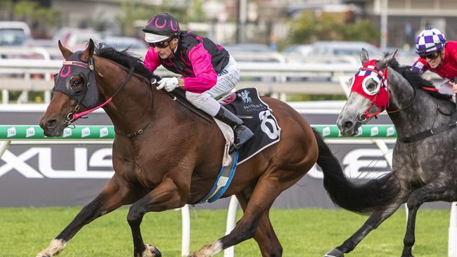 Dreamreacher is going for a hat-trick of wins. Picture: AAP