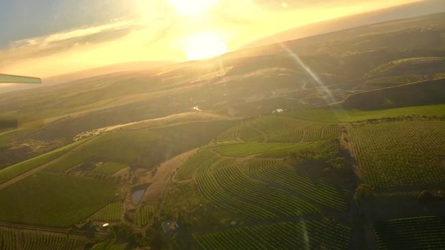 The view over McLaren Vale from above.