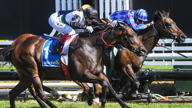 Mr Brightside (outside) dig deeps to win the CF Orr Stakes at Caulfield from Pride Of Jenni (inside) and Buffalo River. Picture: Pat Scala/Racing Photos via Getty Images