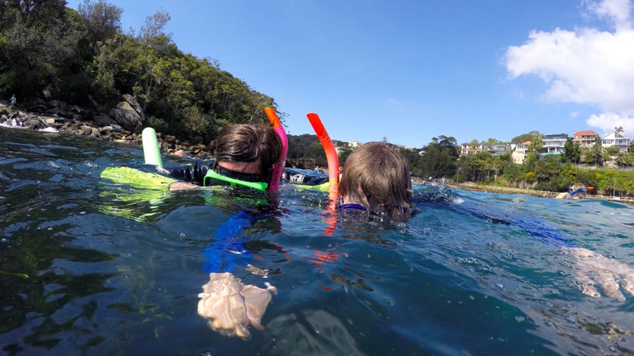 Manly Snorkelling Experience. Experience Oz