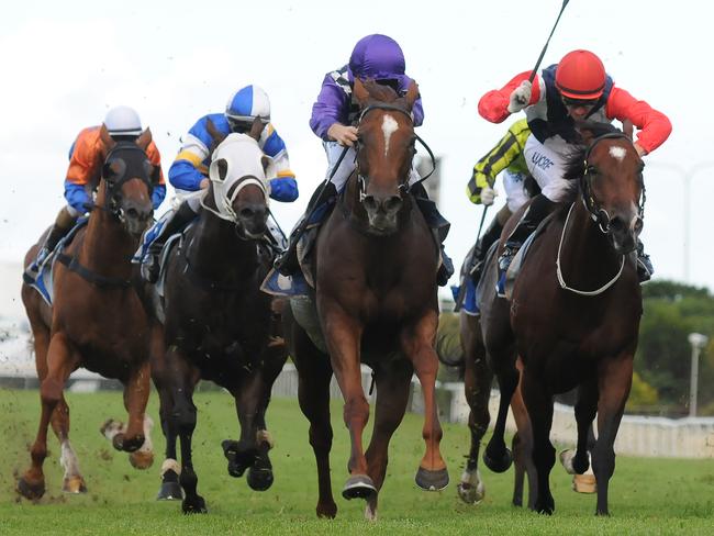 Doomben Review