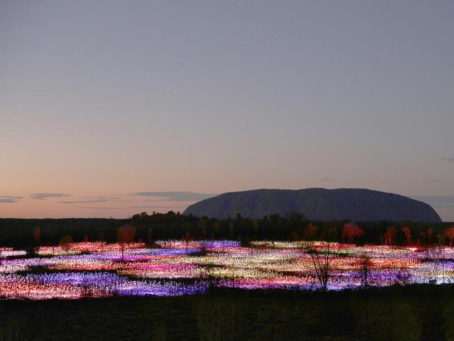 A range of tours incoporating the Field of Light exhibition are offered to Ayers Rock Resort guests. Picture: Mark Pickthall