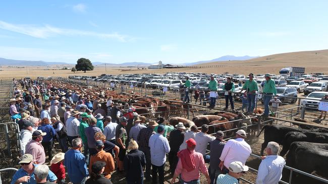 Buyers were out in force at the Hinnomunjie.