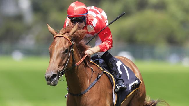 SYDNEY, AUSTRALIA - MARCH 12: Tommy Berry on She's Extreme wins race 2 the Cellarbrations Magic Night Stakes during Sydney Racing Chandon Ladies Day at Rosehill Gardens on March 12, 2022 in Sydney, Australia. (Photo by Mark Evans/Getty Images)