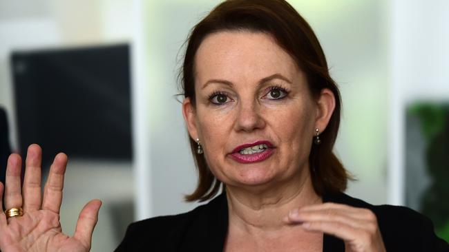 Former federal health minister Sussan Ley lost her portfolio after purchasing a Gold Coast unit while on  official ministerial business in Queensland. Photo: Evan Morgan