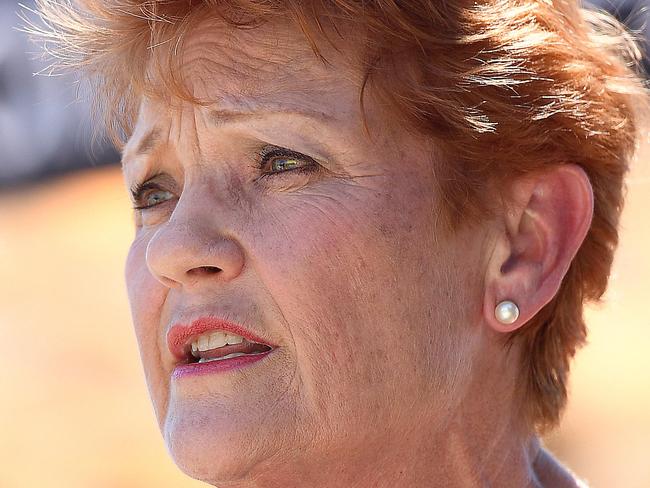 Senator Pauline Hanson travelled to Townsville to visit the pre-polling booth ahead of the 2020 state election, where she spoke with other local members of parliament including Thuringowa MP Aaron Harper and federal member for Herbert Philip Thompson. PICTURE: MATT TAYLOR.