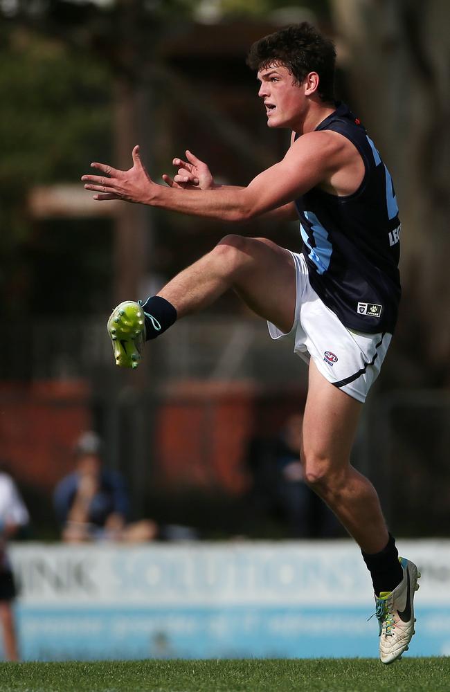 Angus Brayshaw in action. Picture: Colleen Petch