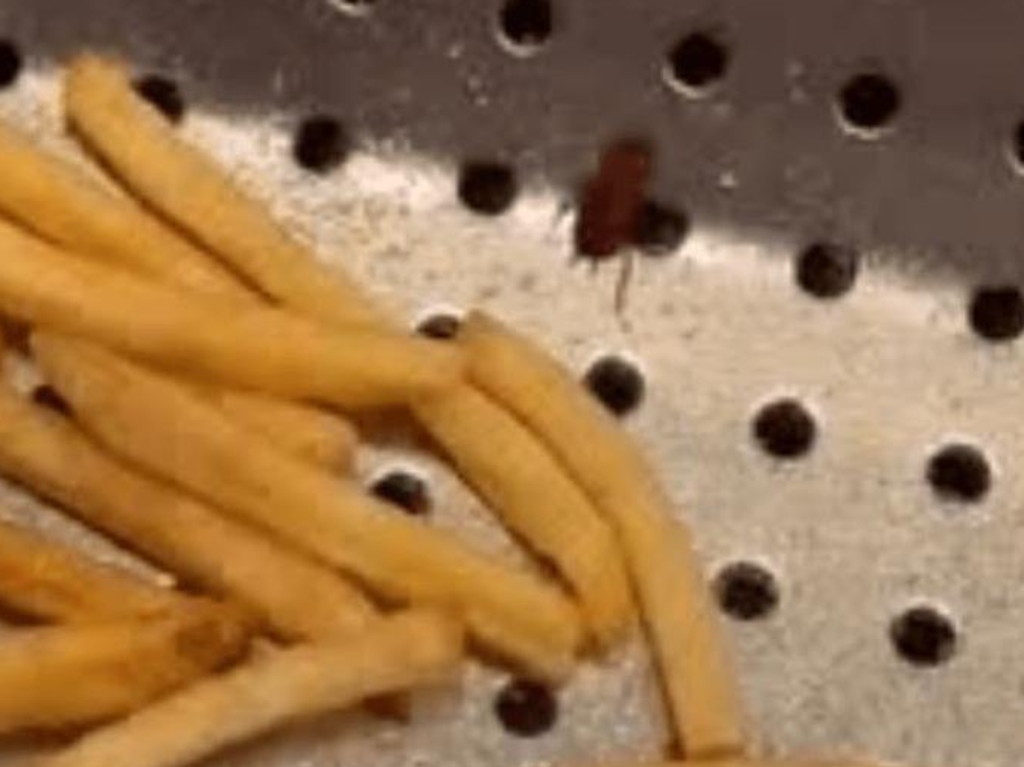 A cockroach was filmed inside the fries warmer. Picture: newy.com.au