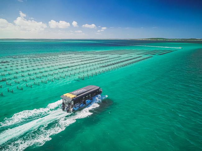 Experience Coffin Bay tour.