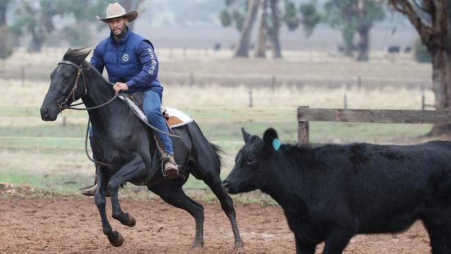 Since retiring from footy, Gibson has taken up a new Aussie sport: campdrafting. Picture: Michael Klein