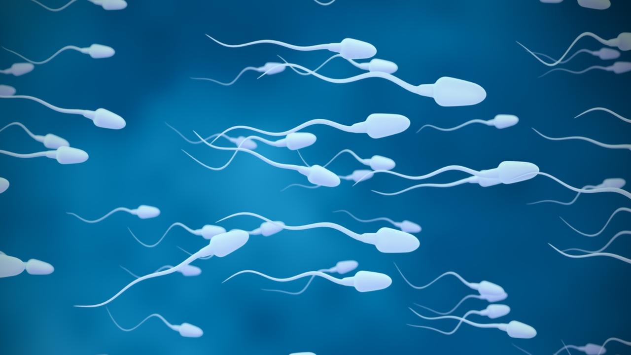 Sperm counts are low. Now we might know why. Picture: iStock