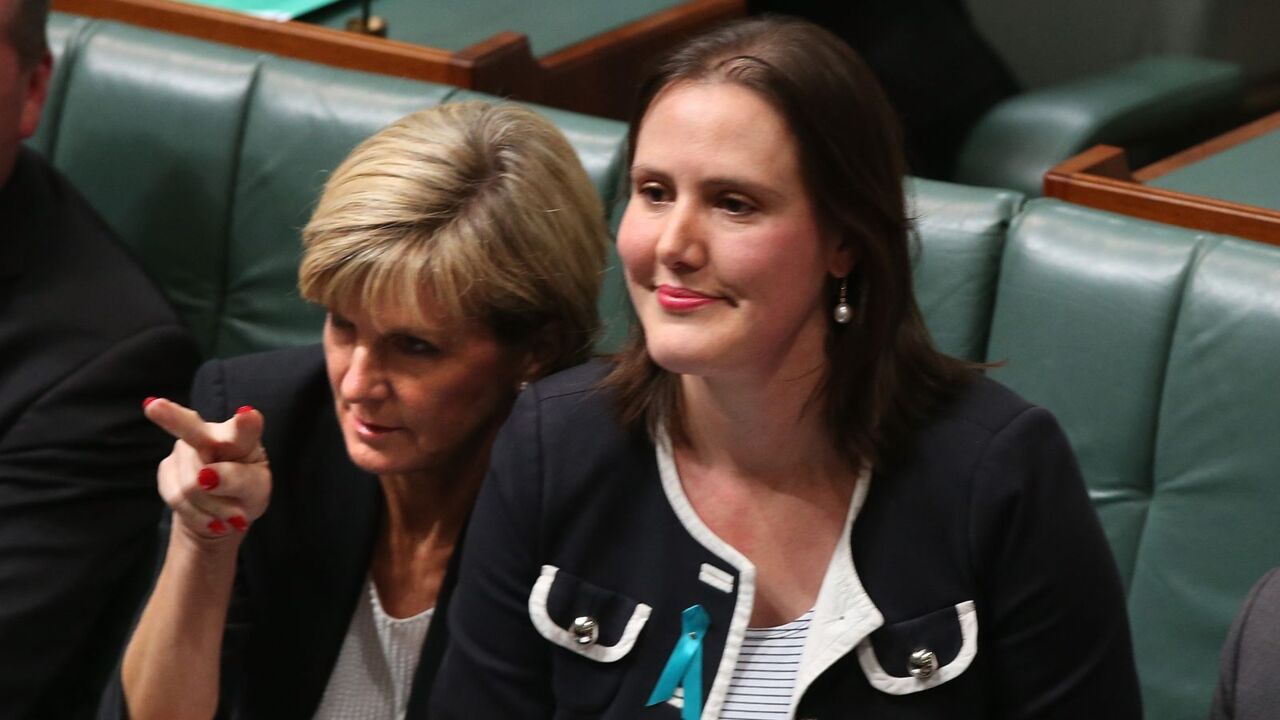 Leaked messages reveal female Liberal MP's split on bullying