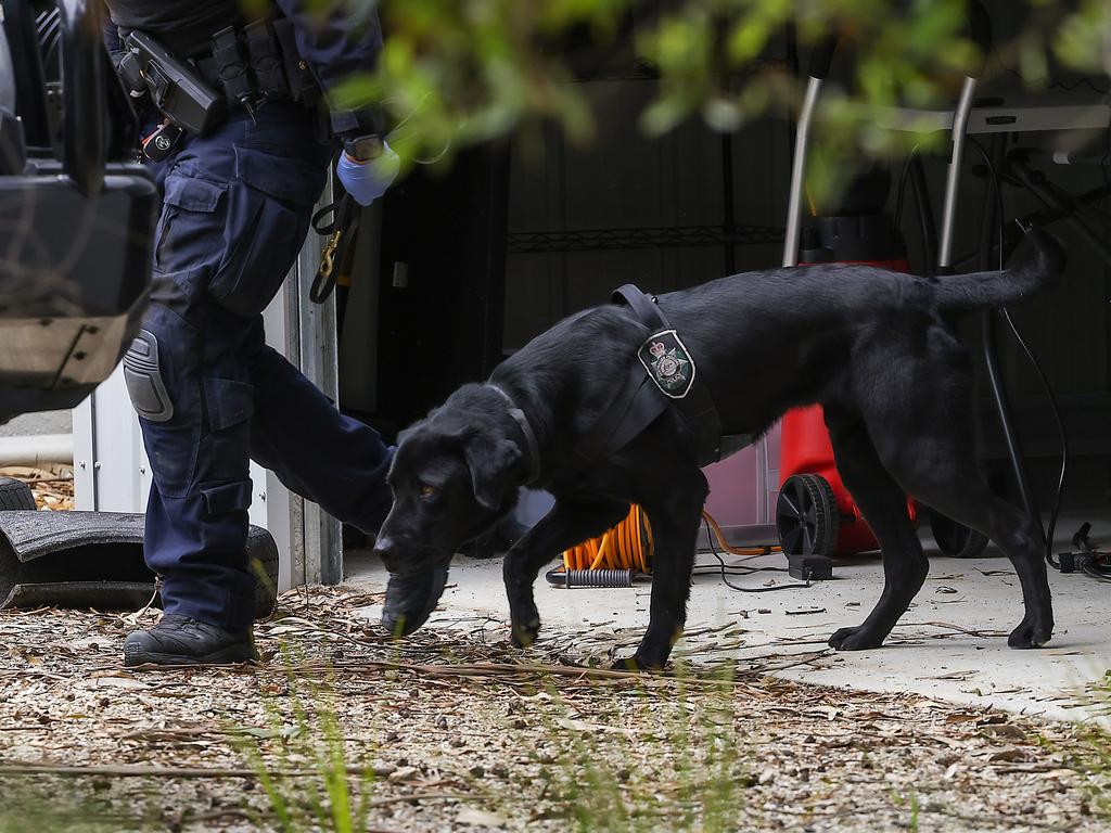 An AFP police technology detector dog searches Ms Patterson’s Leongatha home. Picture: Ian Currie