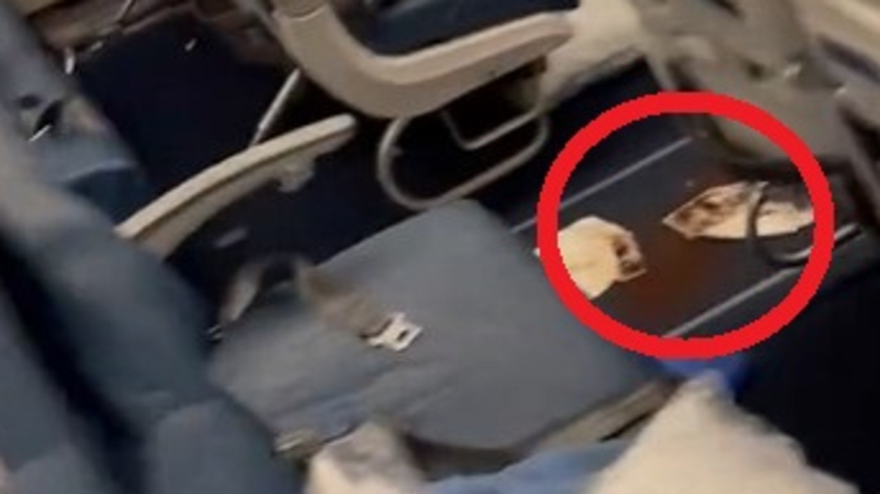 Vídeo total del horroroso vuelo de la ‘diarrea’