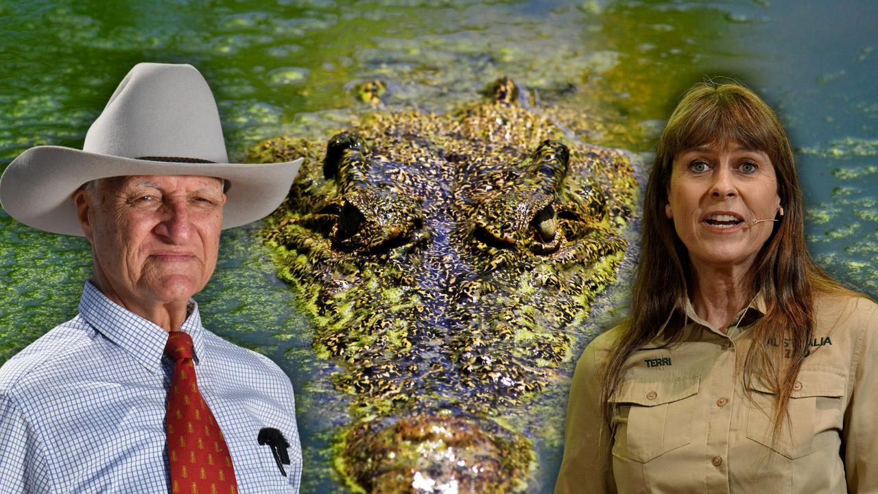 Irwin comes out swinging for Katter’s croc cull plans