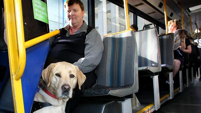 can you take a dog on public transport