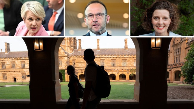 The majority of student debt cuts are likely to go to people in inner-city seats held by Labor, Greens and teal MPs, like Tanya Plibersek's Sydney, Adam Bandt's Melbourne, and Allegra Spender's Wentworth.