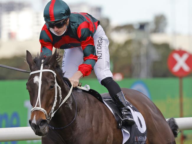 SYDNEY, AUSTRALIA - JULY 24: James McDonald on Yiyi wins race 3 the Bowermans Commercial Furniture Handicap during Sydney Racing at Rosehill Gardens on July 24, 2021 in Sydney, Australia. (Photo by Mark Evans/Getty Images)