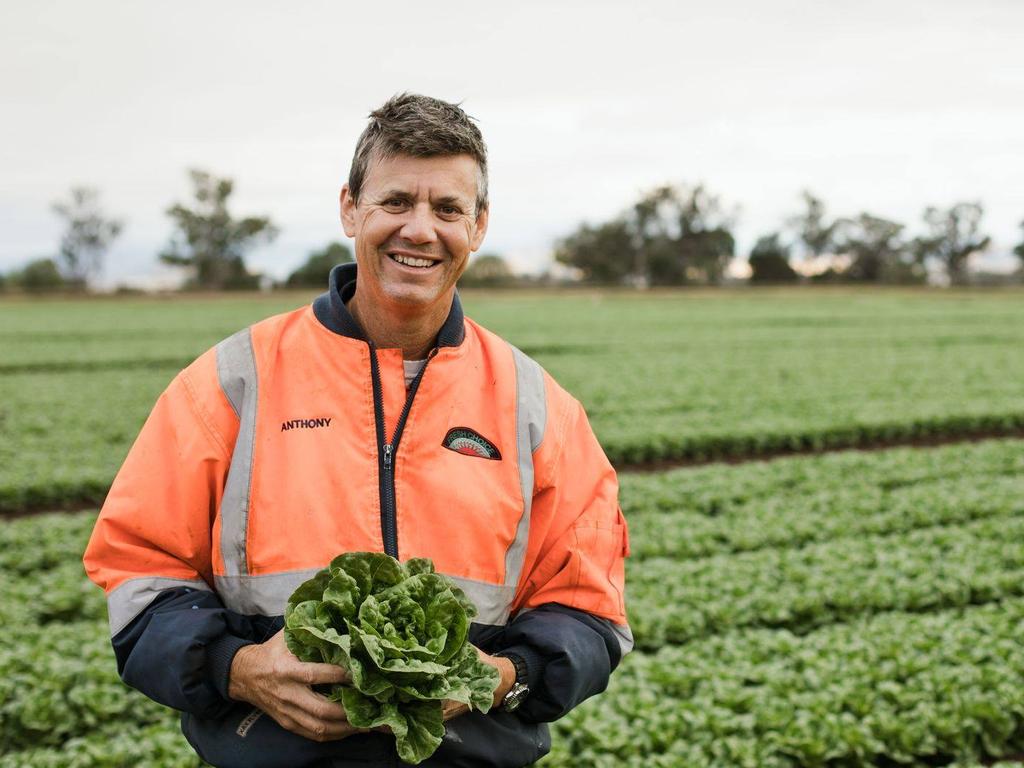 Queensland farmer Anthony Staatz of Koala Farms supplies crisp lettuce for the Macca’s menu. Picture: Supplied