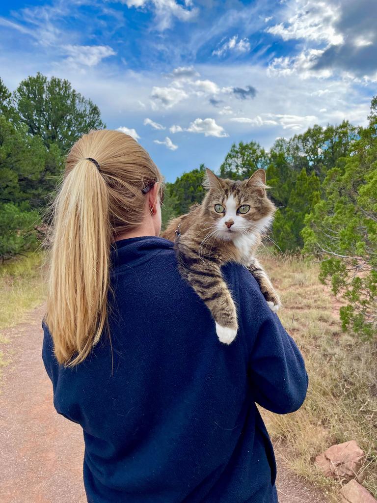 So far, the trio’s favourite places have been France, Arkansas, and Utah. Picture: Caters News Agency