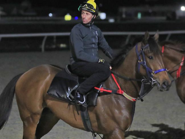 Nash Rawiller rides a Gai Waterhouse runner during trackwork.