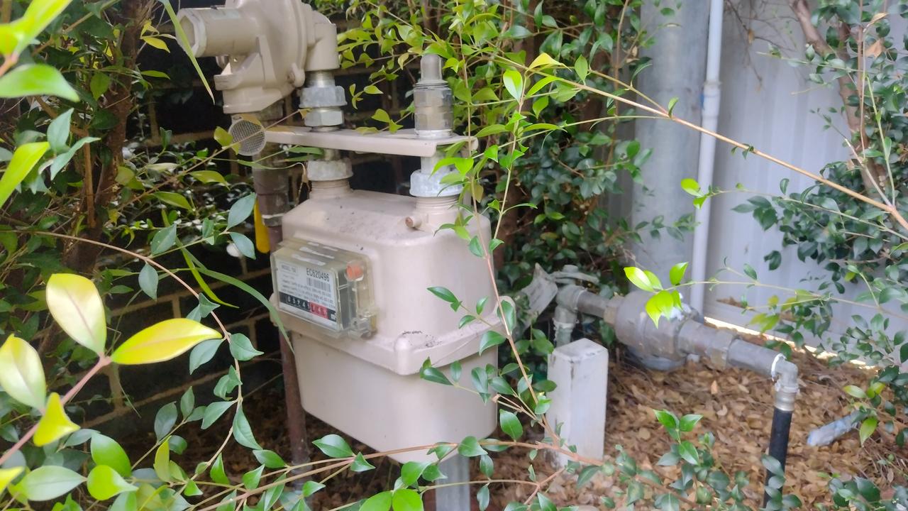 Mr Cam suggested checking the water meter to determine if there were leaks.