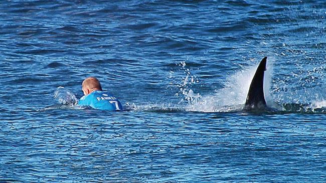 Fanning fights off the shark at the J-Bay Surf Open in South Africa. Picture: AFP