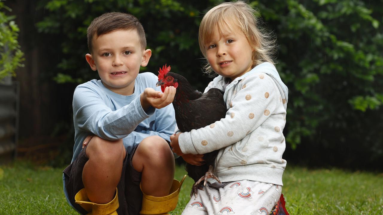 Daniel and Amber McGovern with one of the family’s chickens in Ryde. Picture: Richard Dobson