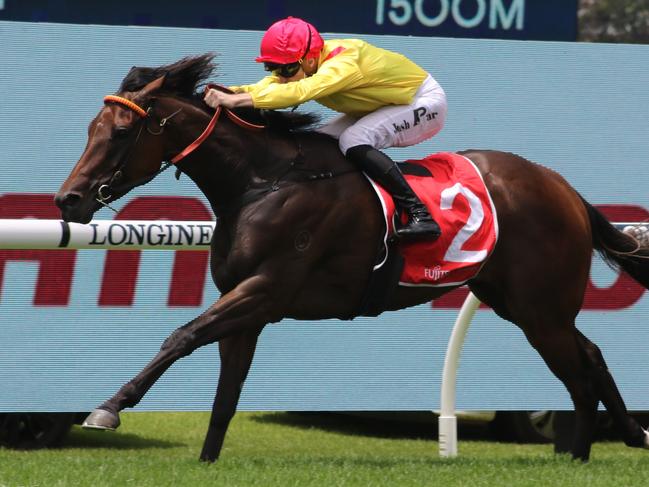 Caesars Palace is ready to bounce back to his best form at Rosehill on Saturday. Picture: Grant Guy