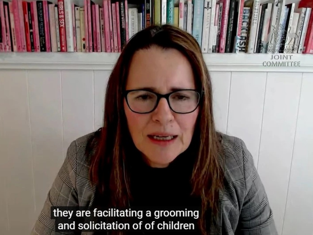 Collective Shout director Melinda Tankard Reist said children are exposed to all kinds of graphic and illegal content on social media. Picture: YouTube