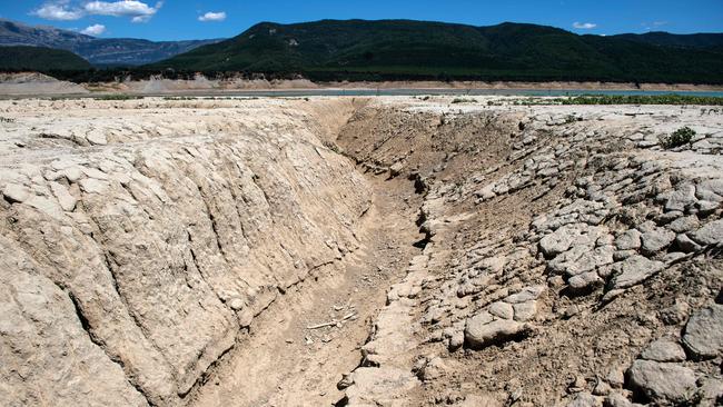 A drought in Spain has affected olive oil production. Picture: Ander Gillenea / AFP