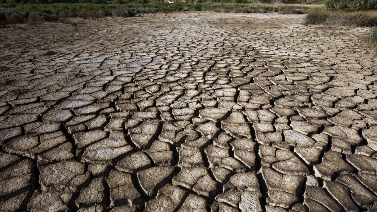 Bureau of Meteorology maintaining ‘alert’ watch for El Nino, saying the ...