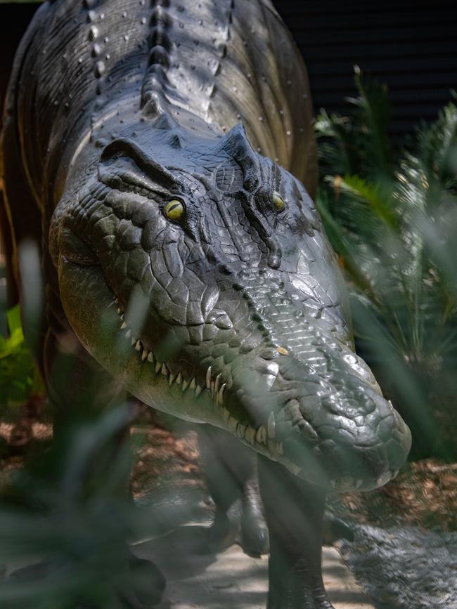 Life size model of the ancient crocodile from Chillagoe. Picture: Supplied.