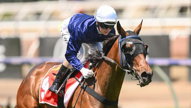 Jamie Kah won’t be riding The Map in the Melbourne Cup. Picture: Morgan Hancock/Racing Photos via Getty Images