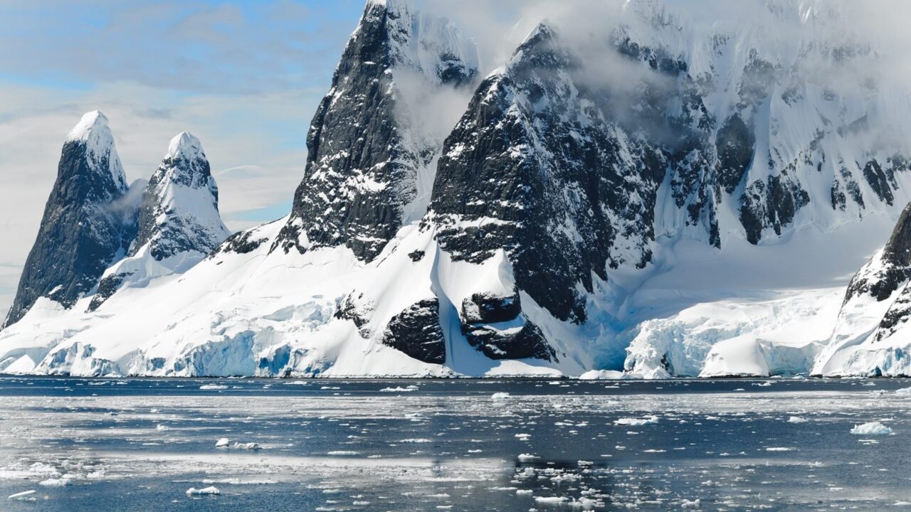 Antarctic scientists using DNA to restore ocean life