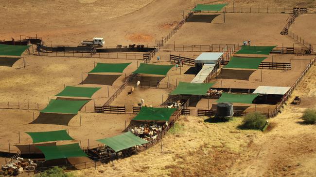 Gina Rinehart’s Helen Springs cattle station