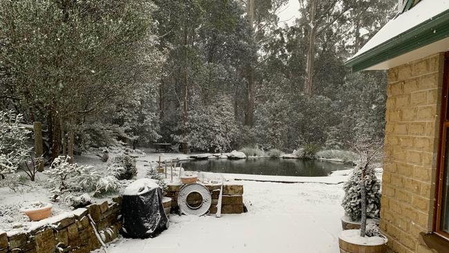 Snow falling thick and fast in Fern Tree, in Hobart, Tasmania on August 4, 2020. Picture: Iain Kelly